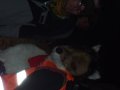 DSCF2616.JPG